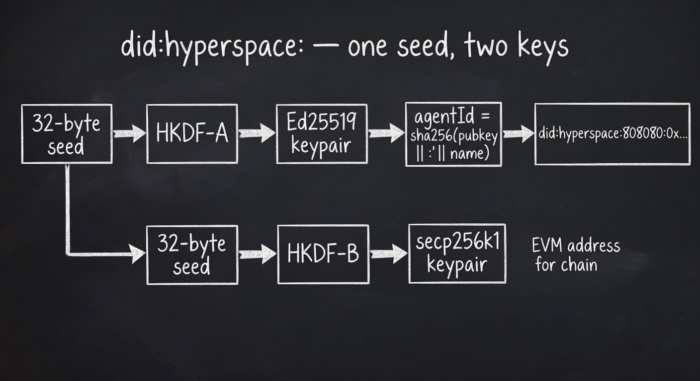 did:hyperspace: derivation — one master seed, two HKDF chains producing Ed25519 and secp256k1 keypairs